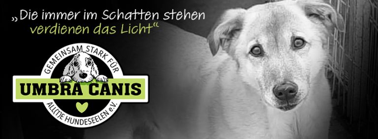 Umbra Canis - Gemeinsam stark für all/t/e Hundeseelen e.V. h...