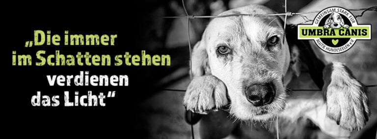 Umbra Canis - Gemeinsam stark für all/t/e Hundeseelen e.V. h...