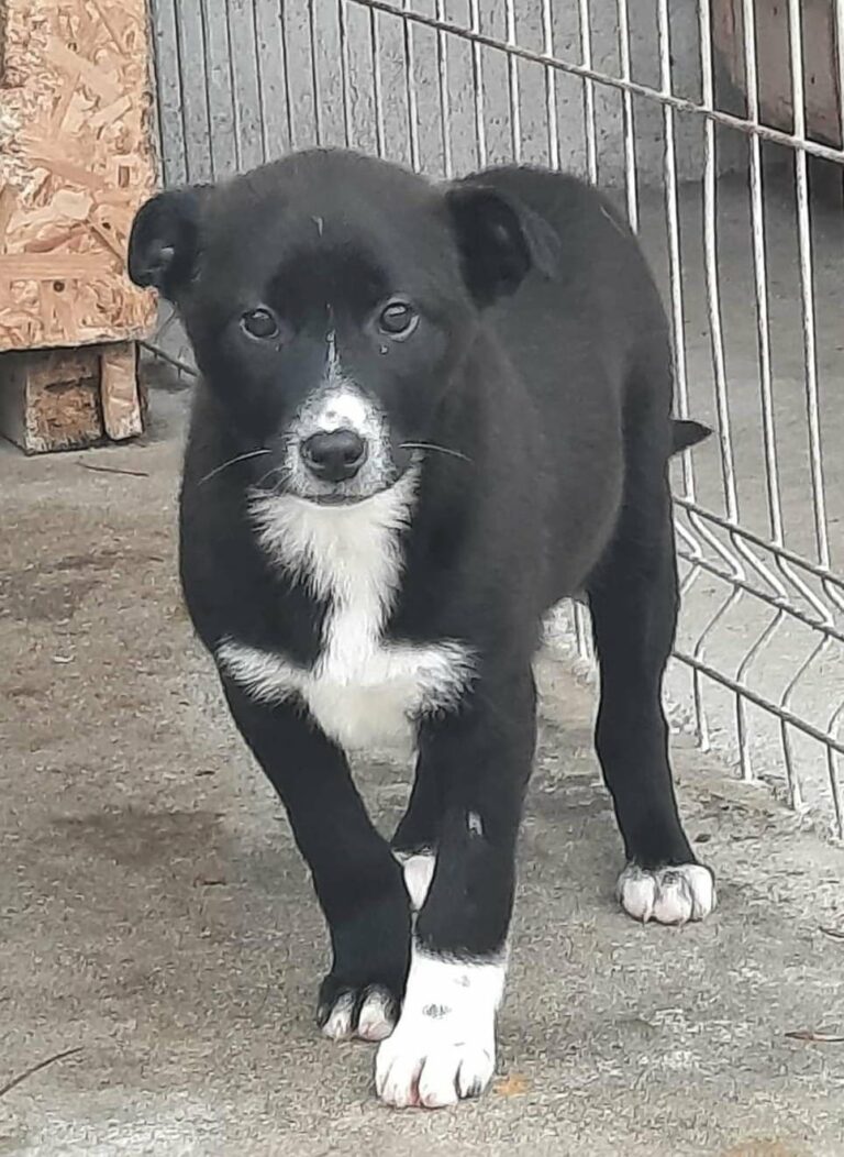 Nochmal dürfen wir 2 glückliche Ausreiser für nächste Woche ...