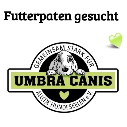 Umbra Canis - Gemeinsam stark für all/t/e Hundeseelen e.V. h...