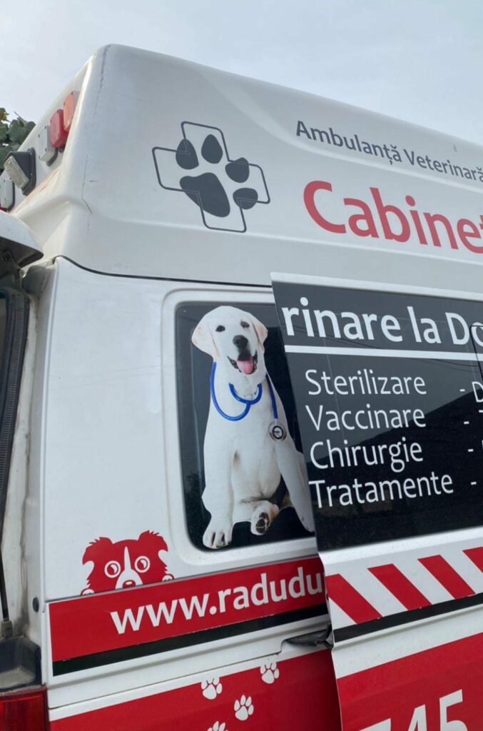 Kastrationsaktionen...