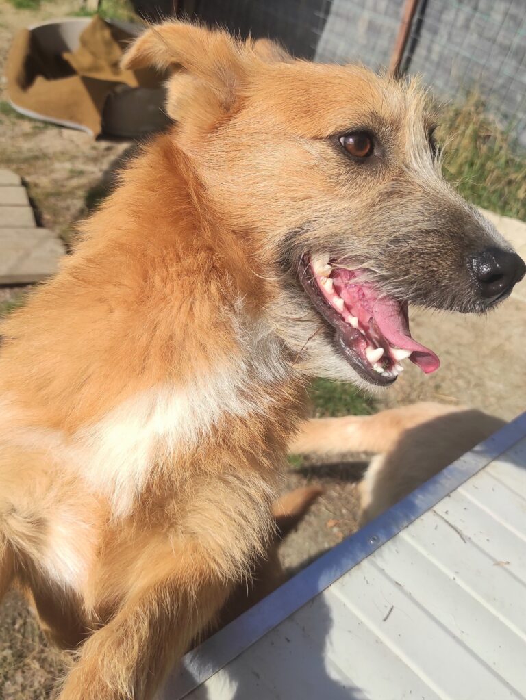 KUNA...