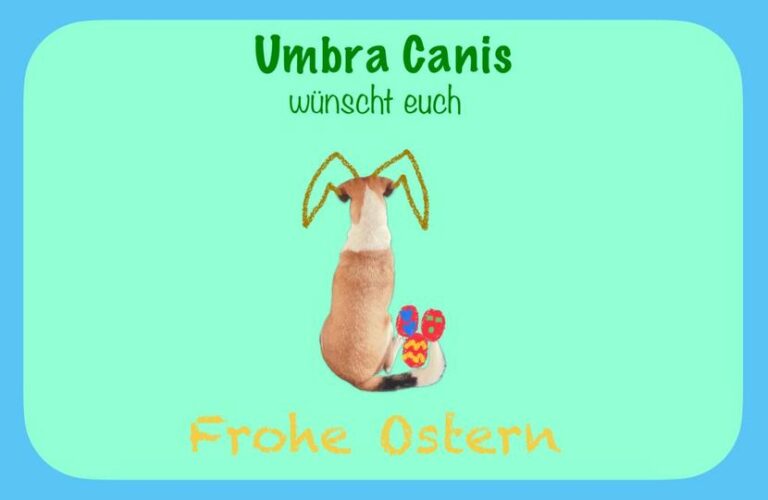 Vielen Dank für Eure Unterstützung, egal in welcher Form! &l...
