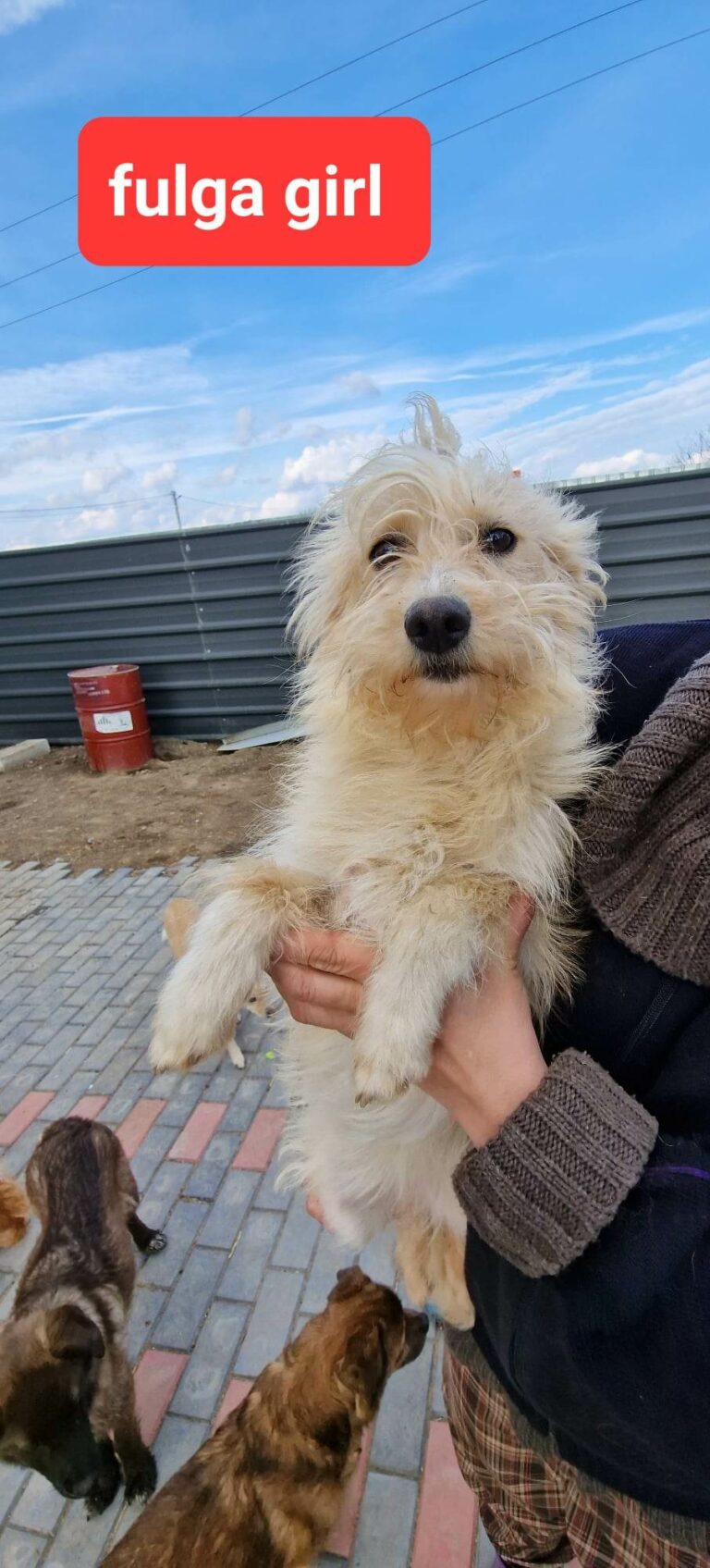 Manchmal ist bei uns auch Mittwoch Freutag