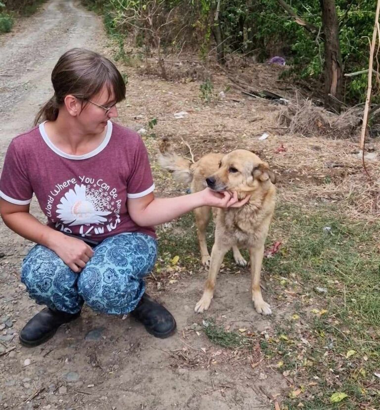 Diese Hunde sind in höchster Lebensgefahr!!...