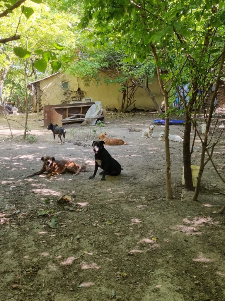 (notitle)