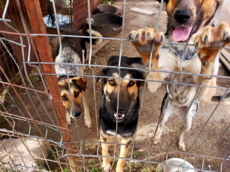 *** Update: Namenspaten gefunden ***...