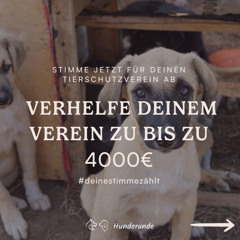 Deine Stimme, deine Entscheidung....