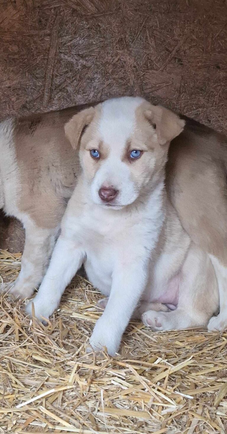 Update: Yuki und Yoko sagen ihrer lieben Namenspatin Ingrid ...