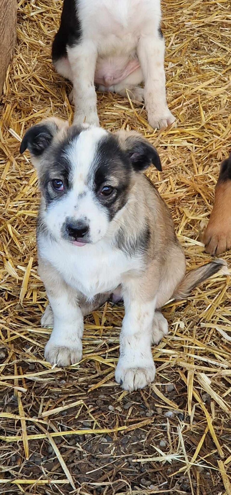 Vinja...