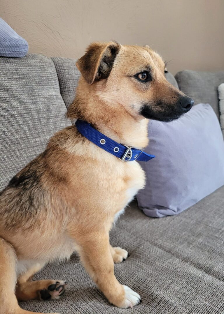 SABRI...