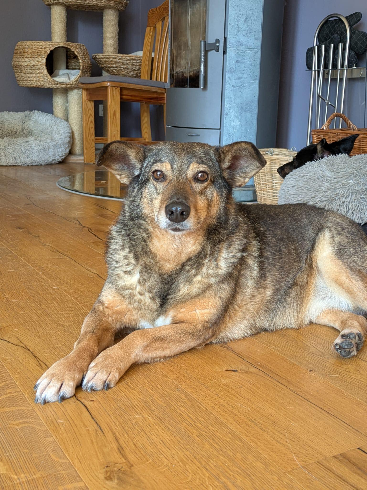 GRACIE...