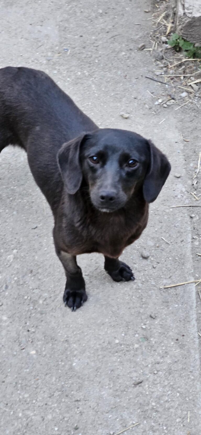 COCO...