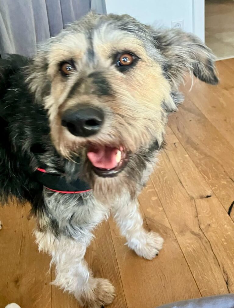 Rita in Not!! Wer bietet unserer Rita einen Urlaubsplatz??...