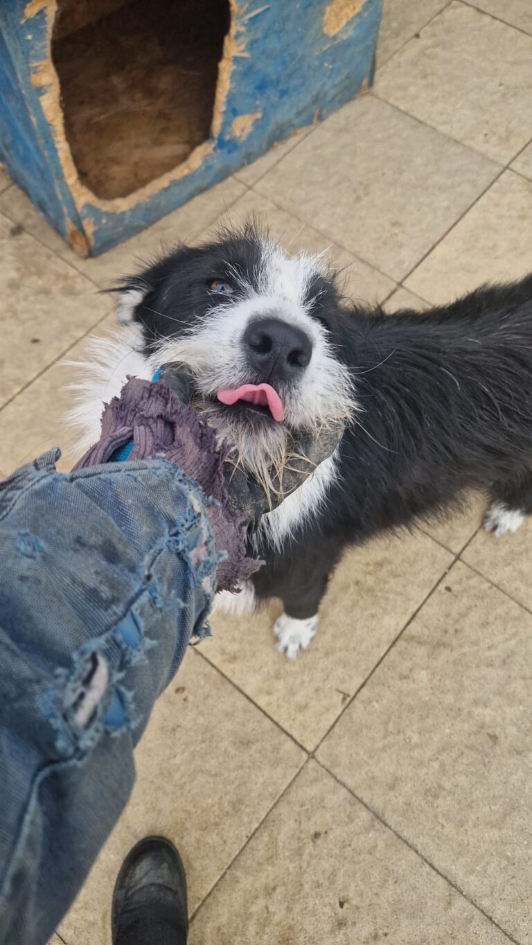 SAMMY...