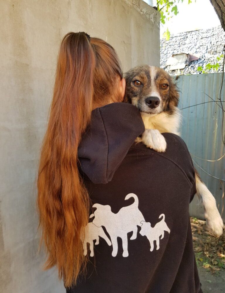 Sachspenden für den Tierschutz gesucht...