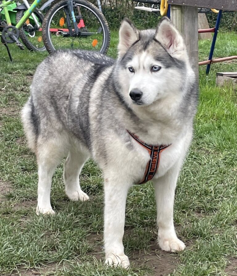 VERMITTLUNGSHILFE MARLA...