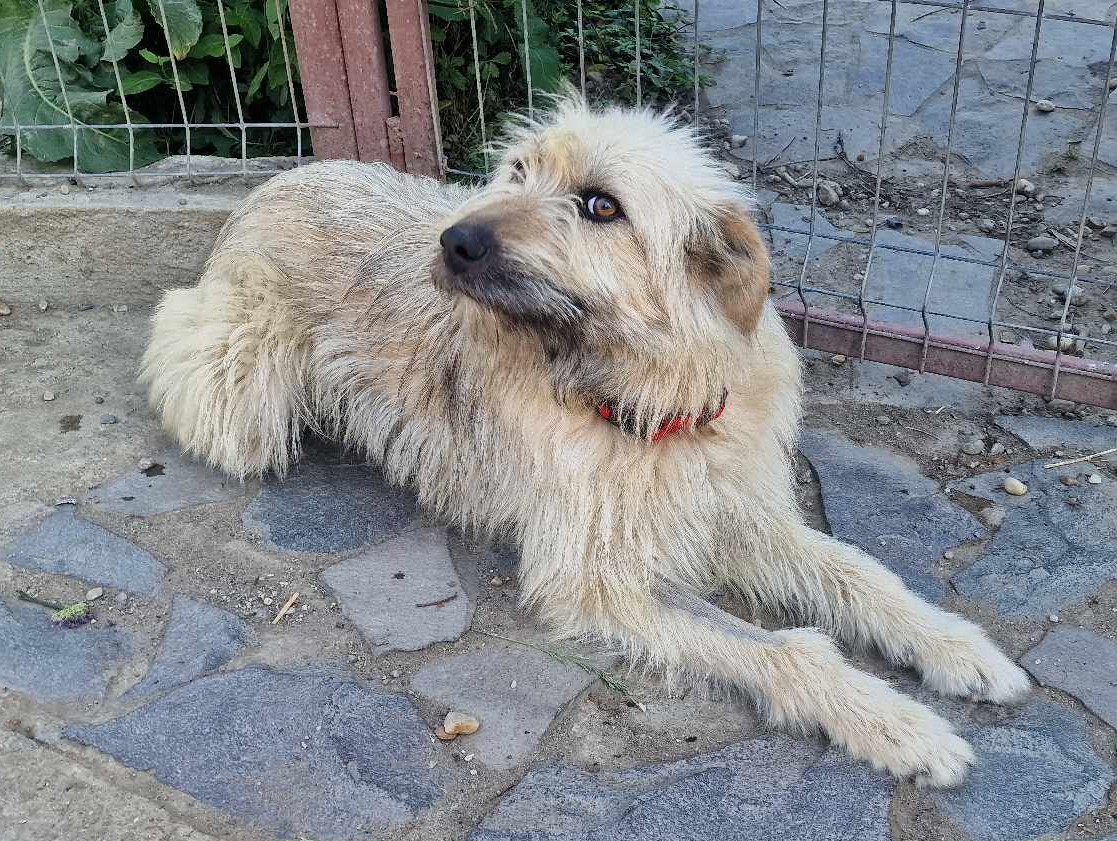 MARNIE...