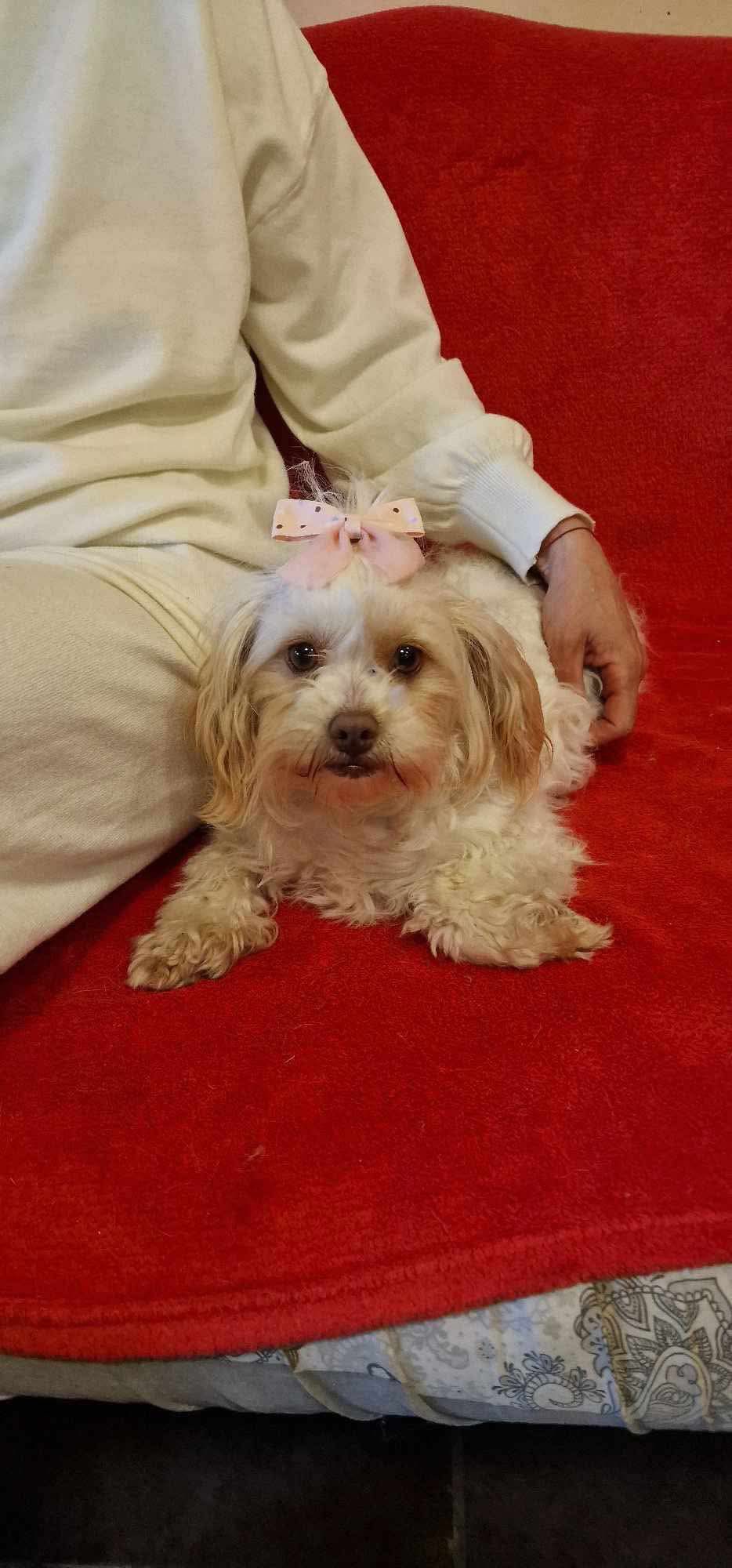 SOPHIE...
