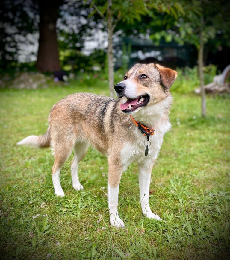 Wir freuen uns wieder über 5 Happyends, von denen eins schön...