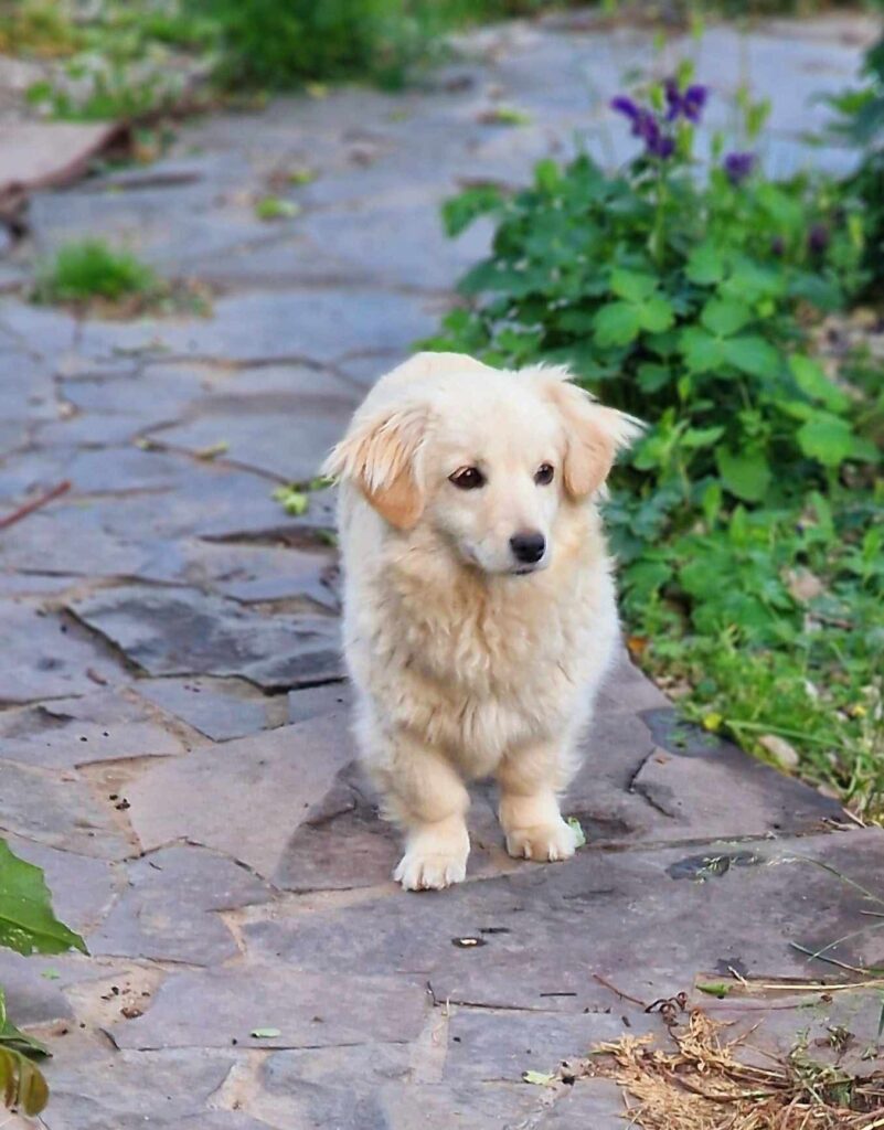 MAGGIE...