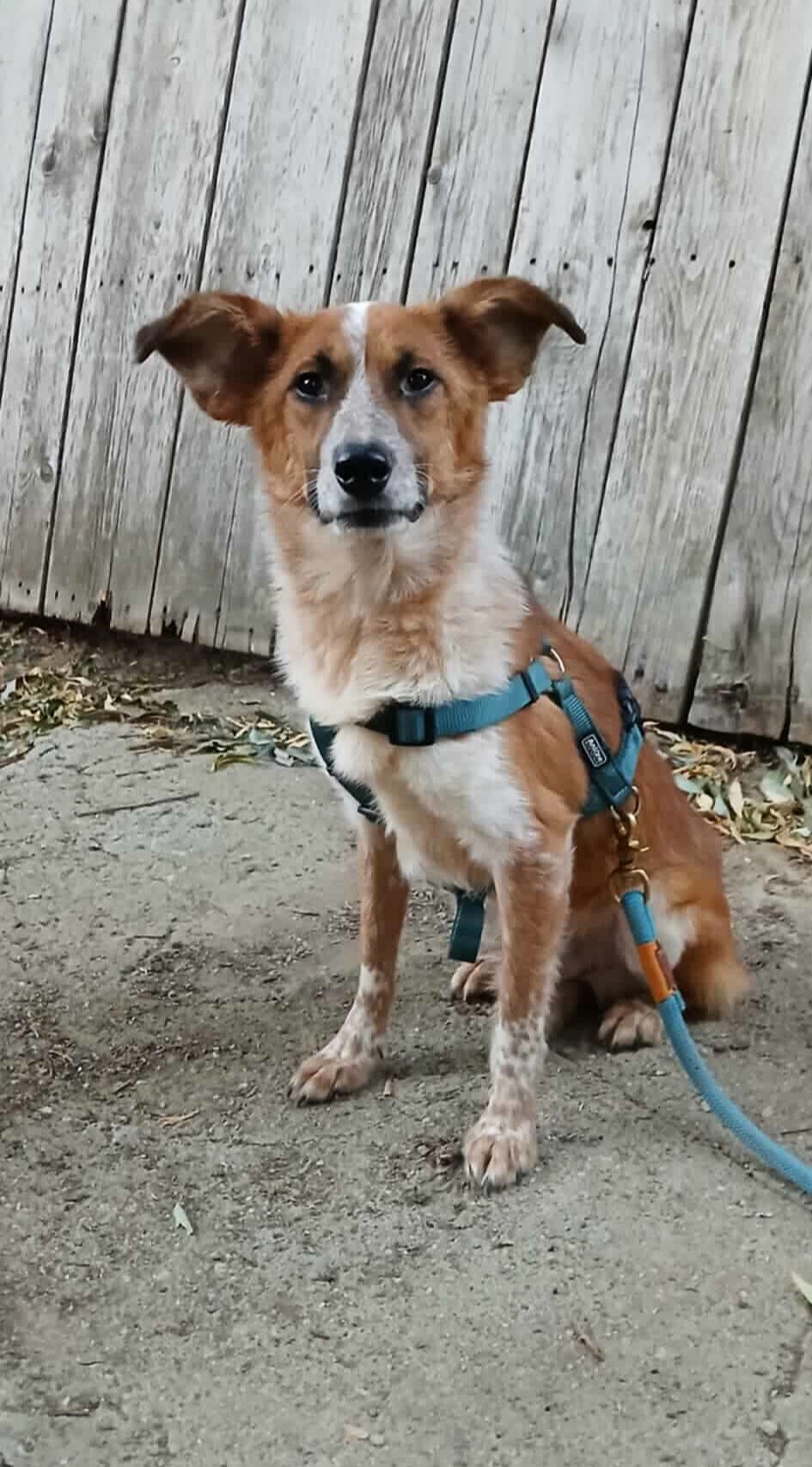 KIKO...