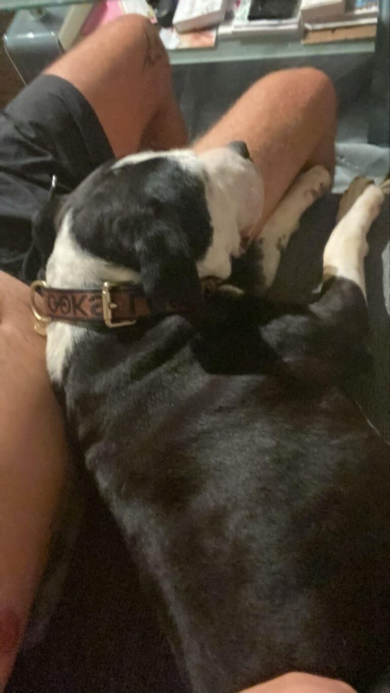 Leila sagt allen lieben Spendern, die ihr Ausreiseticket mit...