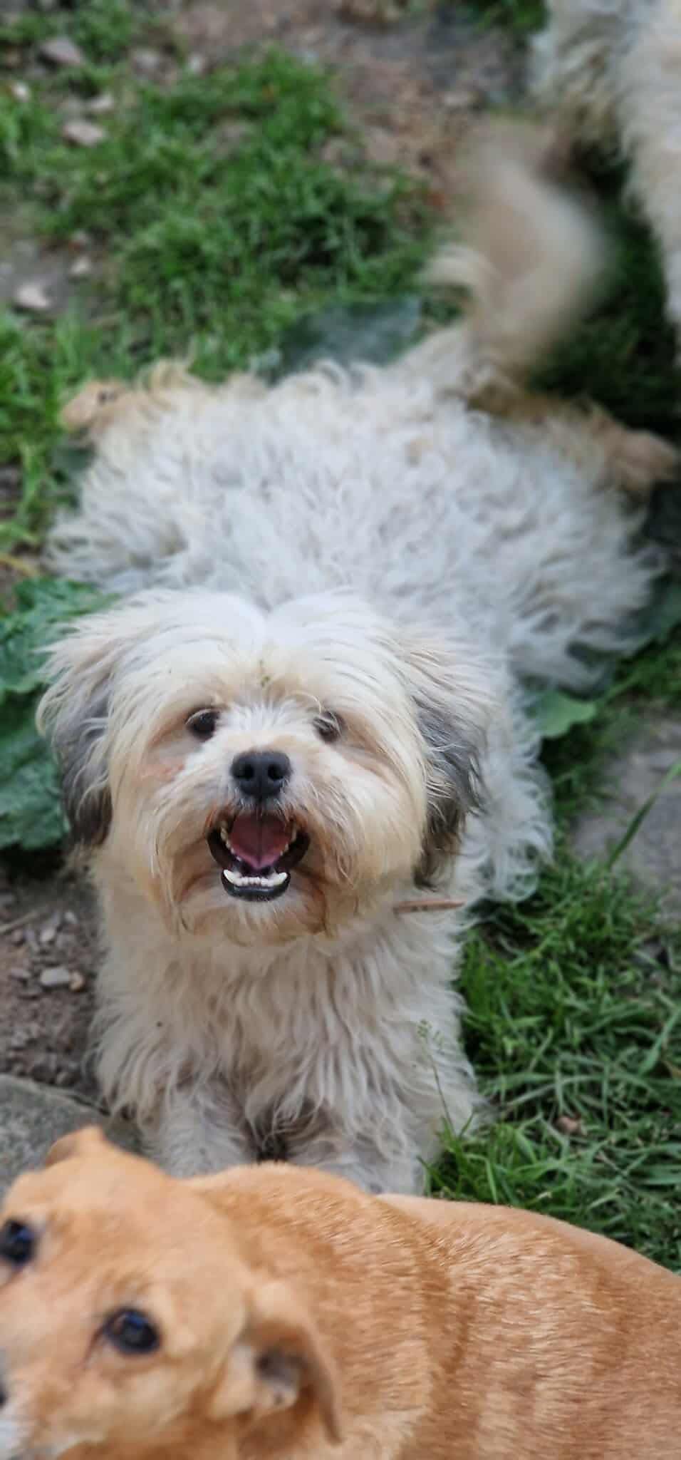 LUNA...