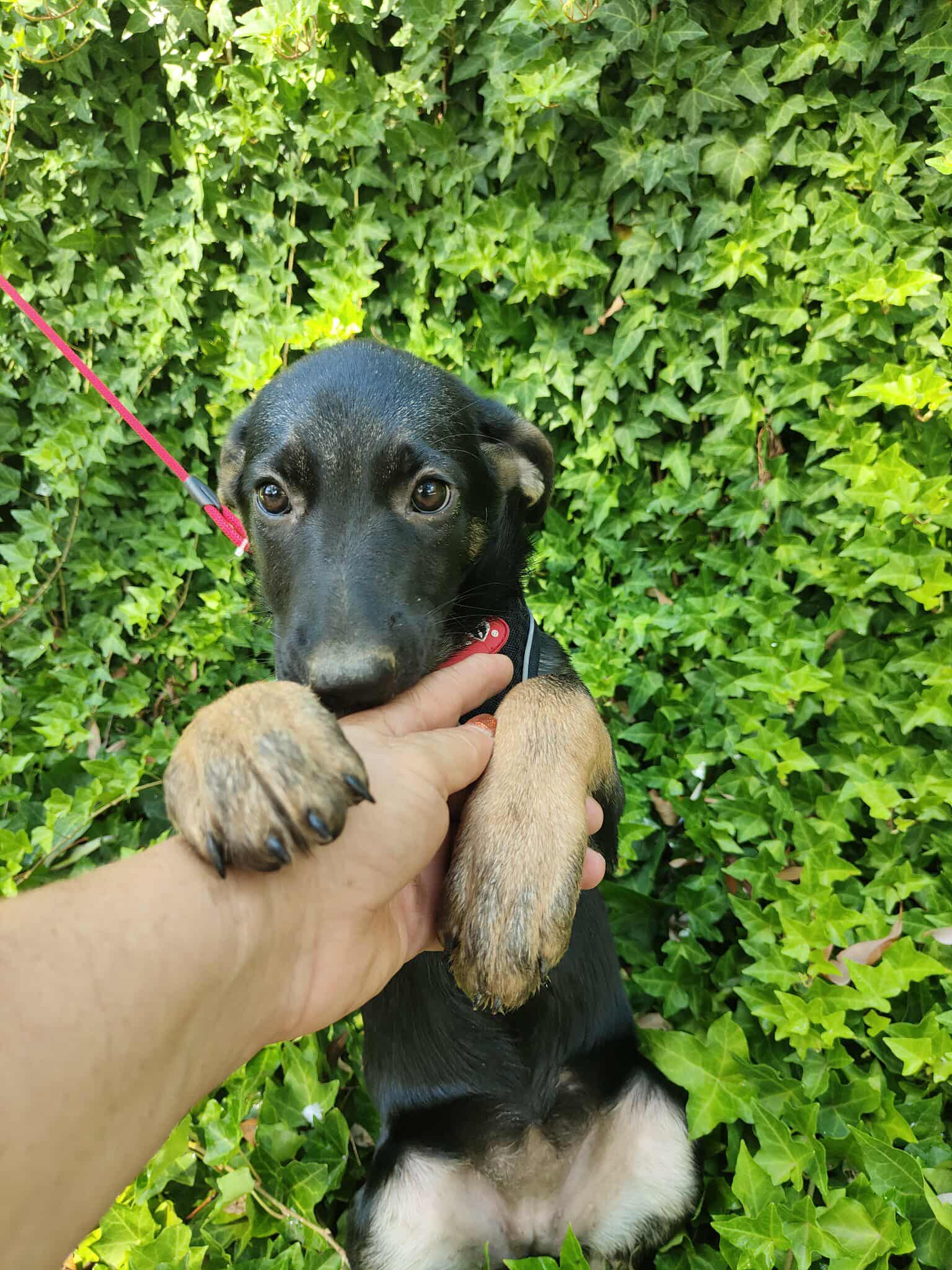MOMO...