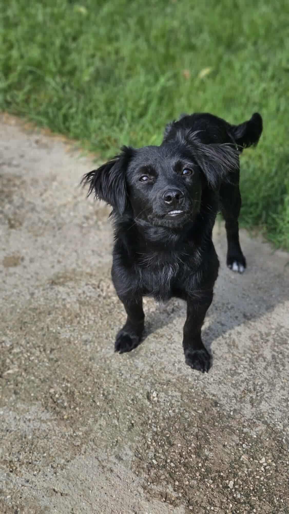 NYX...