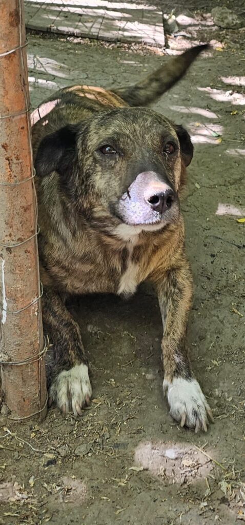 XENA...