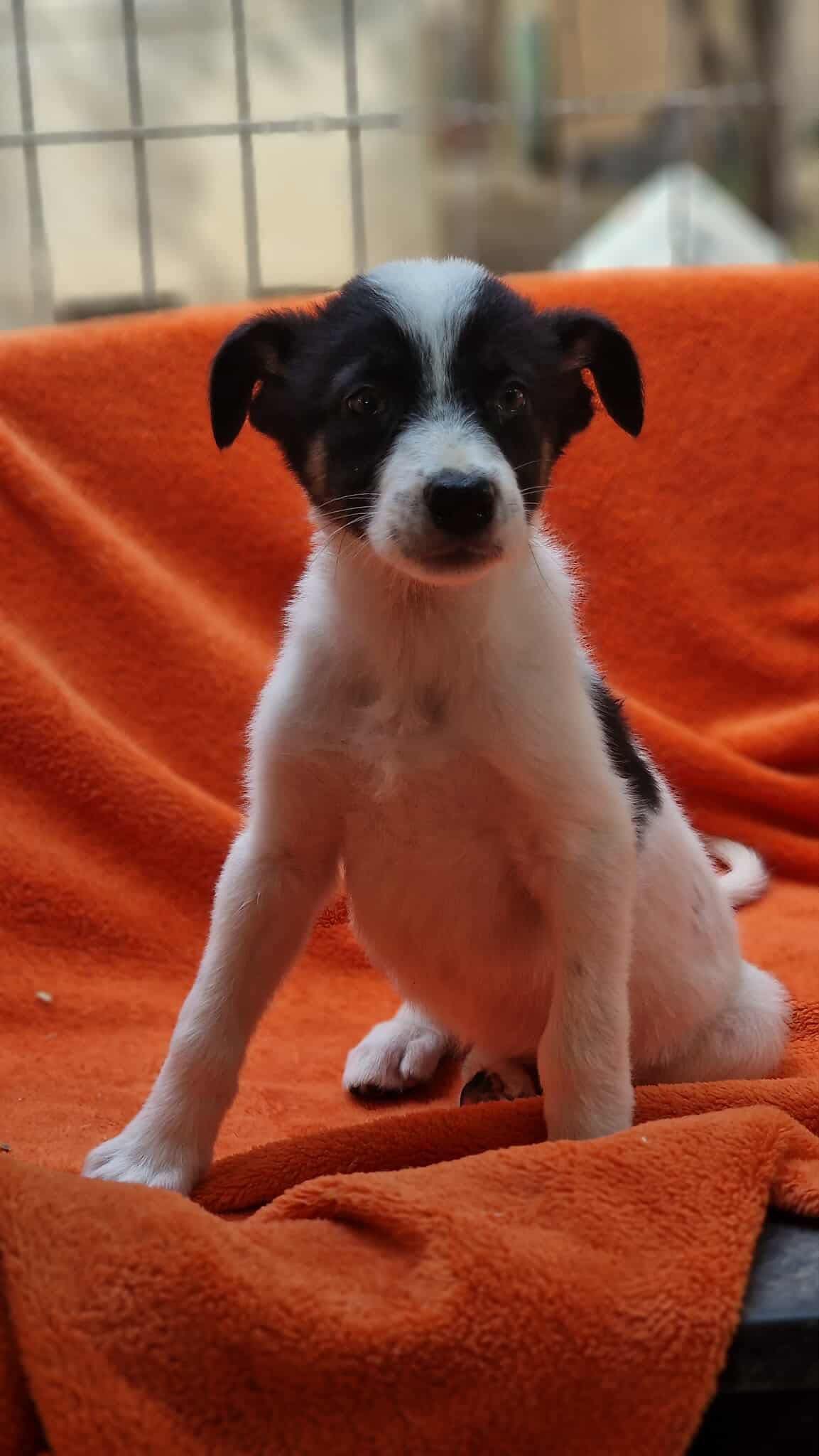 ZOE...