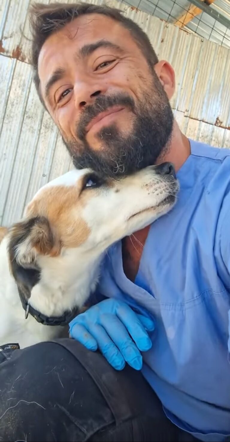 Umbra Canis - Gemeinsam stark für all/t/e Hundeseelen e.V. h...