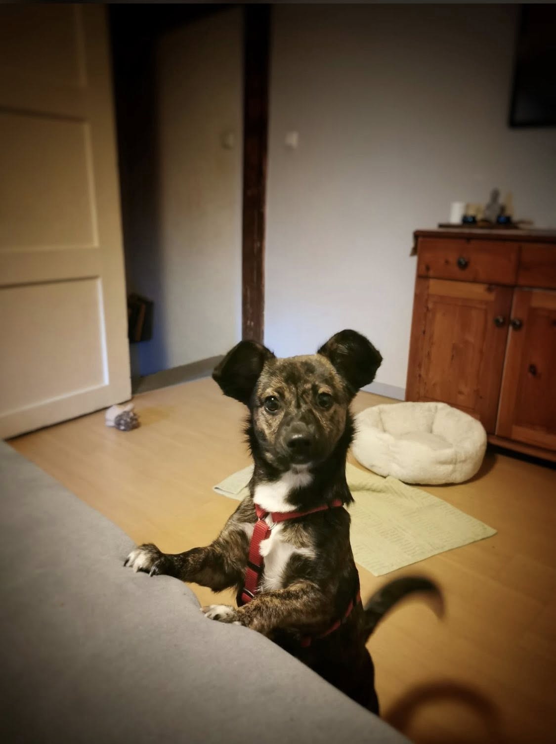 VERMITTLUNGSHILFE ROMY...