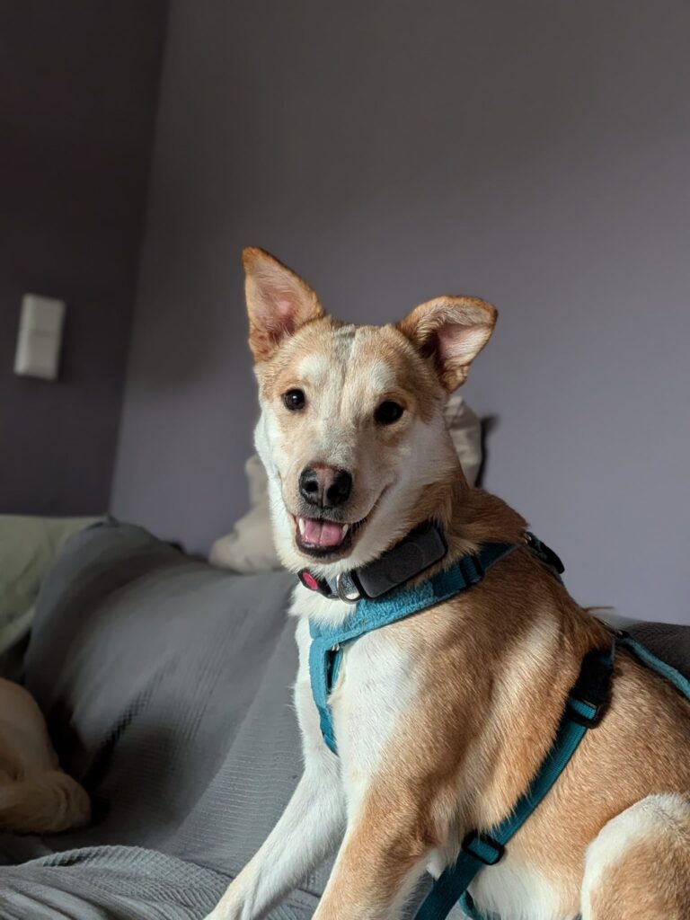 Lui – ein junger Schatz auf der Suche nach seinem Glück...