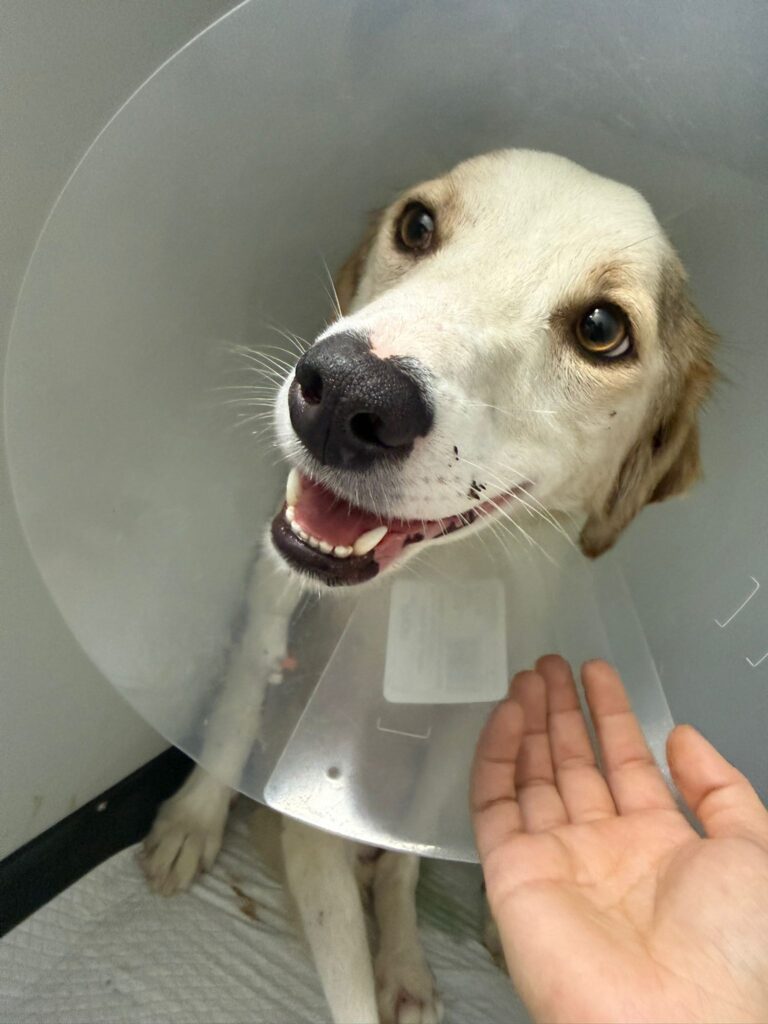 ! Update gelähmte Mama Pia 27.10.25 !...