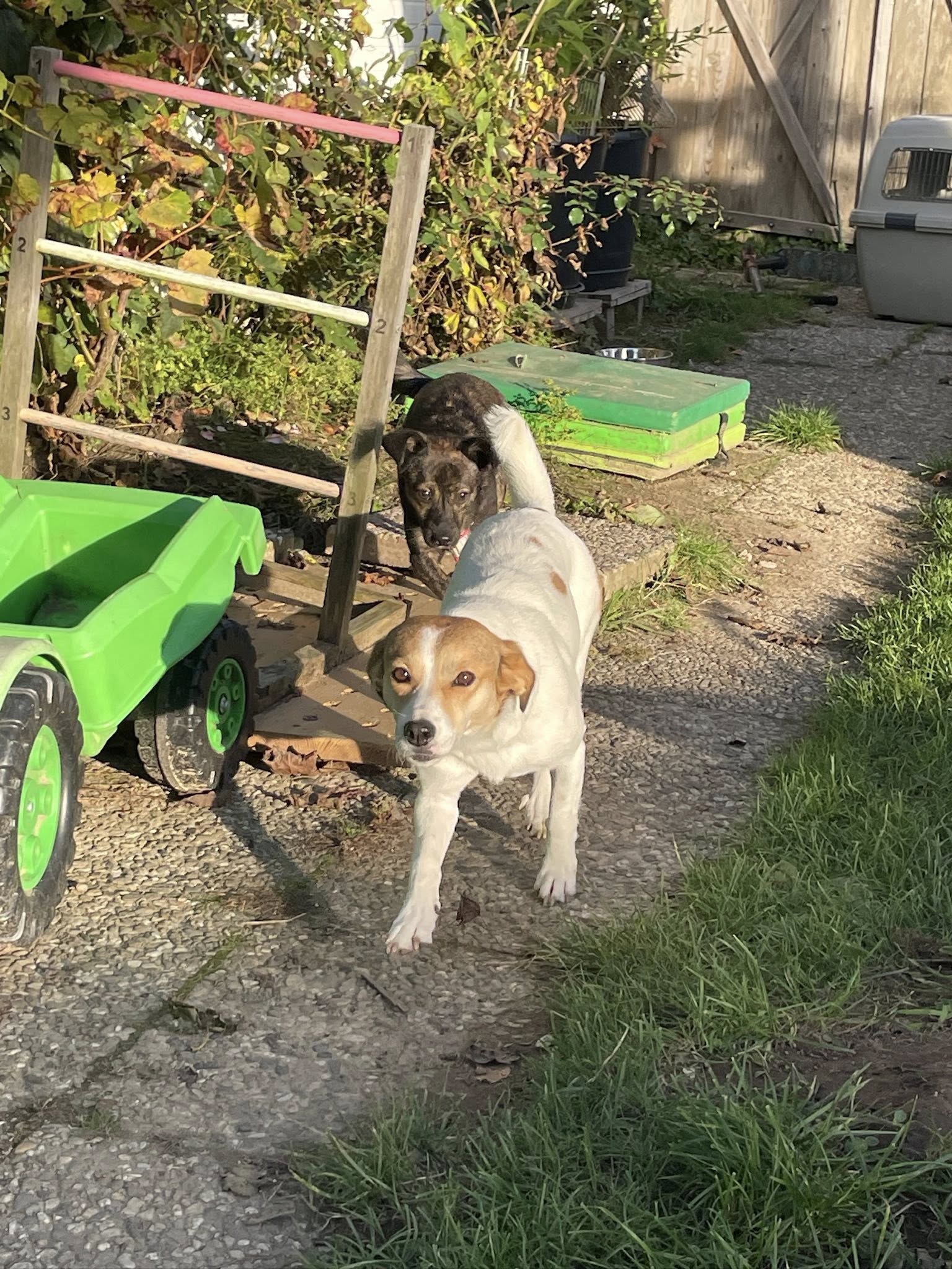 VERMITTLUNGSHILFE SHIVA...