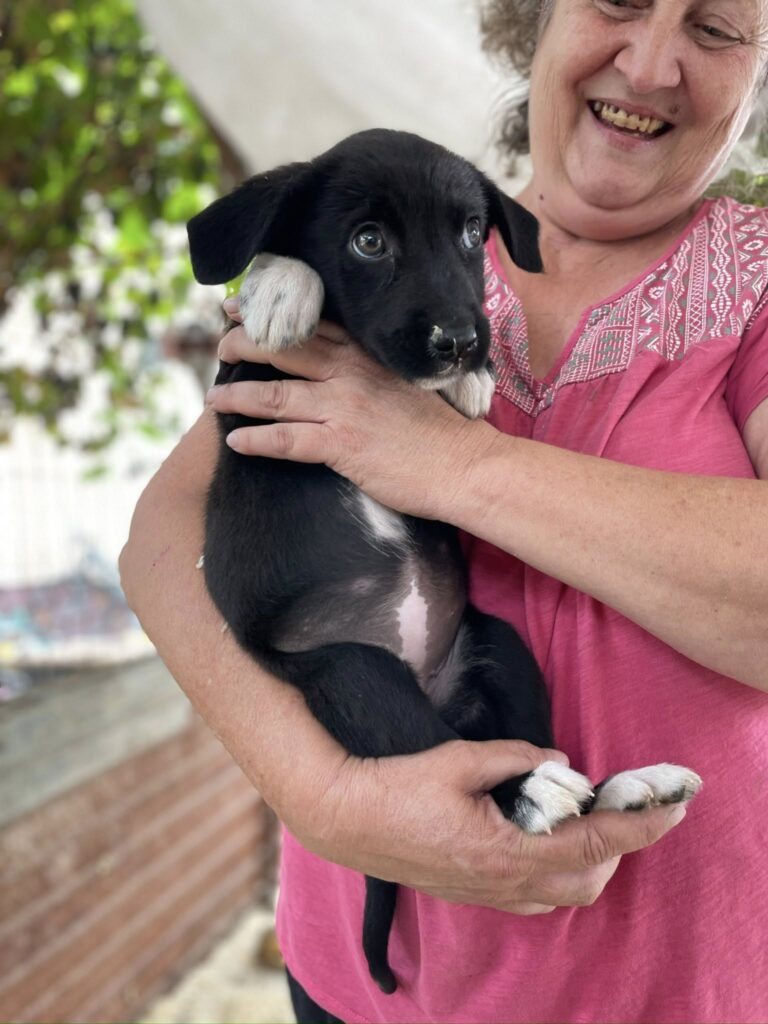 ...Und wieder freuen wir uns über 12 Glückspilze, die Rumäni...