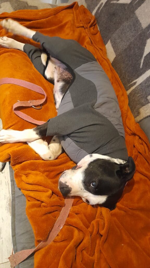 Update zu unserer Omi Leila