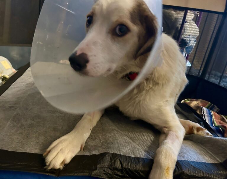 Wer kann Bettina und Pia bitte noch helfen?...