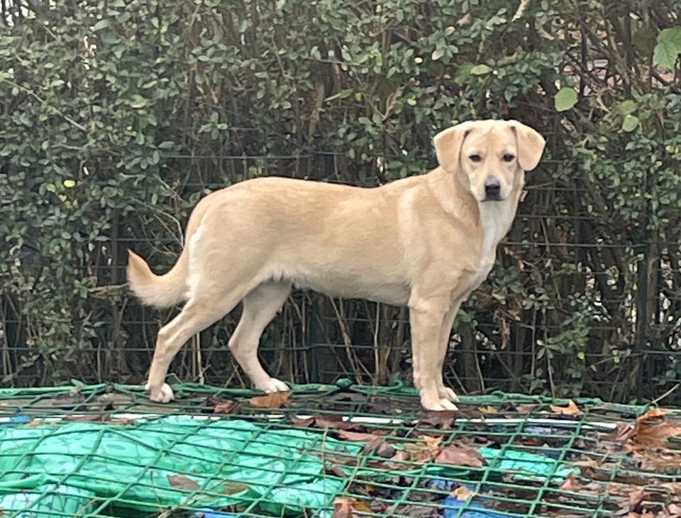 VERMITTLUNGSHILFE BIBI...