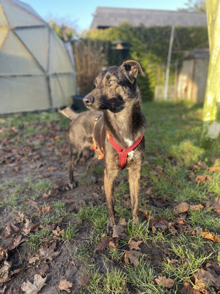 VERMITTLUNGSHILFE CIMI...