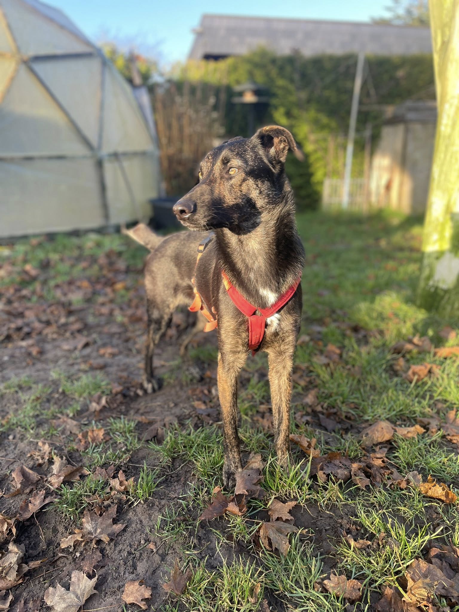 VERMITTLUNGSHILFE CIMI...