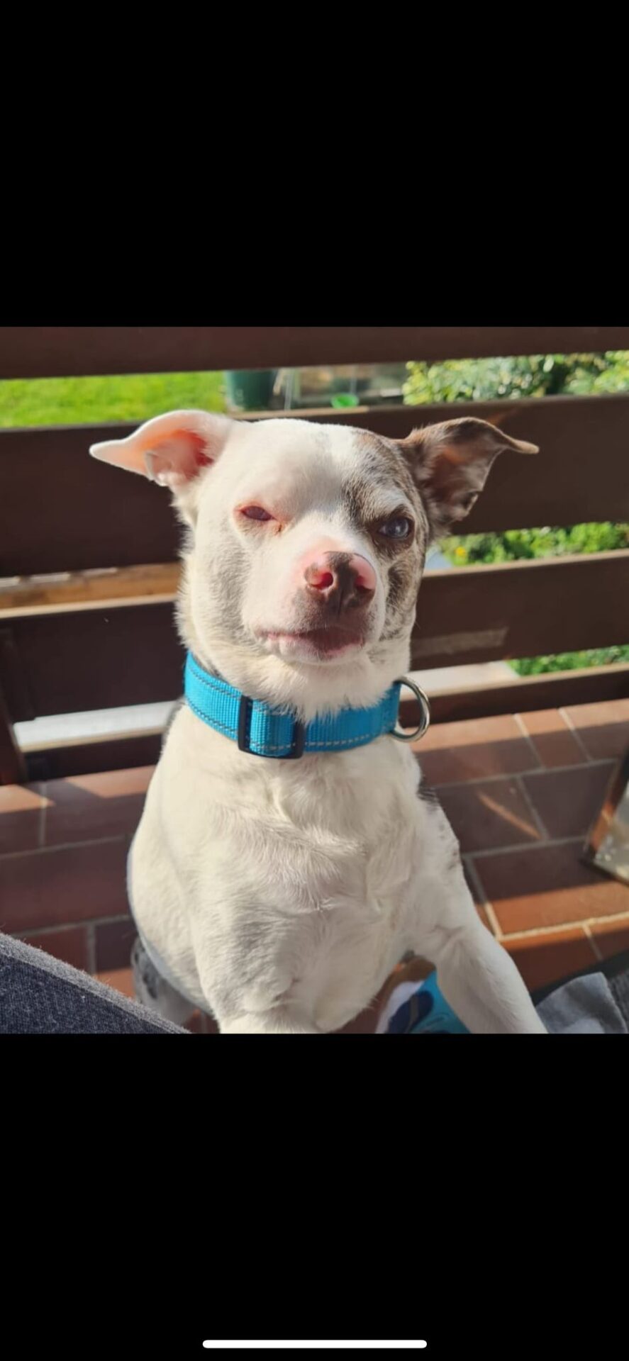 Vermittlungshilfe...