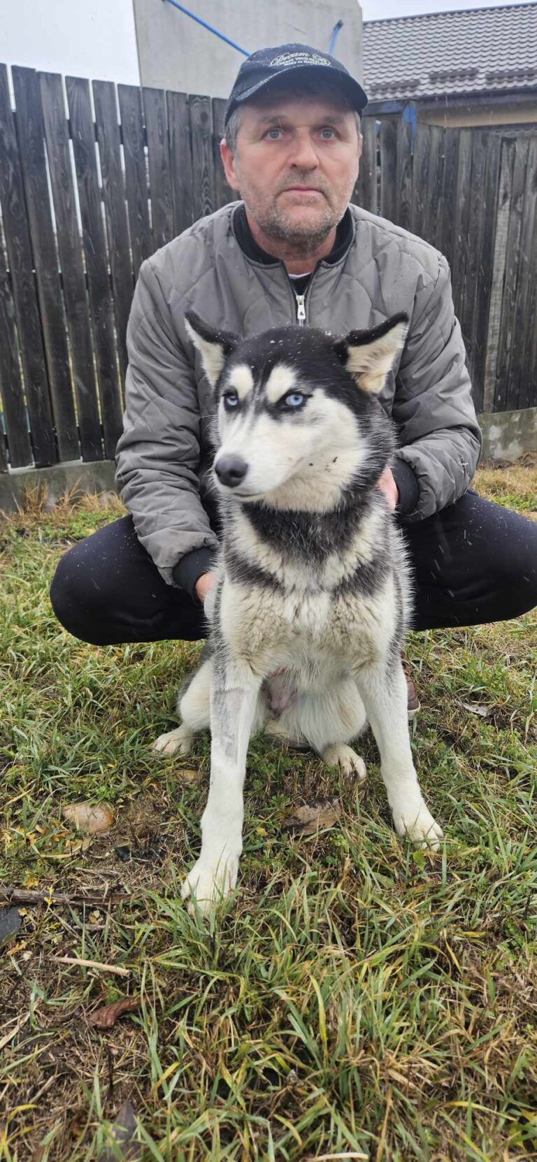 Umbra Canis - Gemeinsam stark für all/t/e Hundeseelen e.V. h...