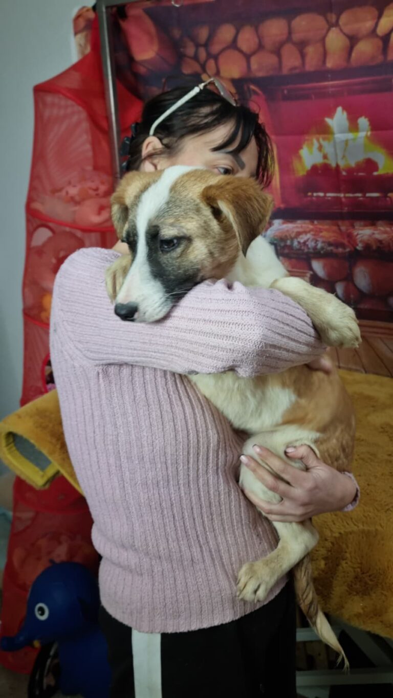 Liebe Namenspaten gesucht !!...