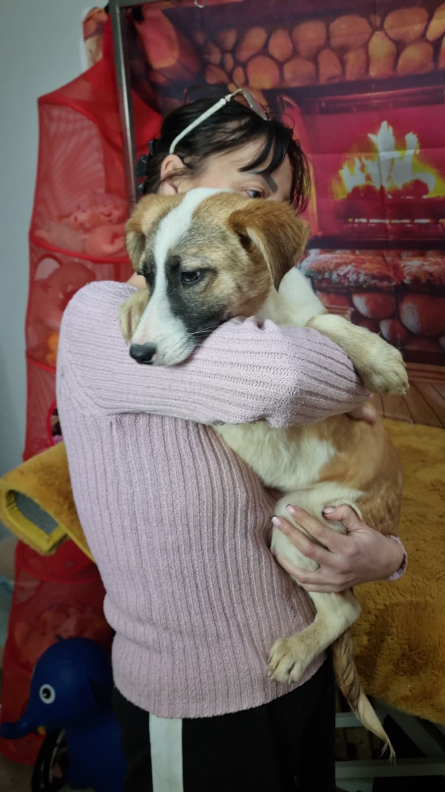 Liebe Namenspaten gesucht !!...