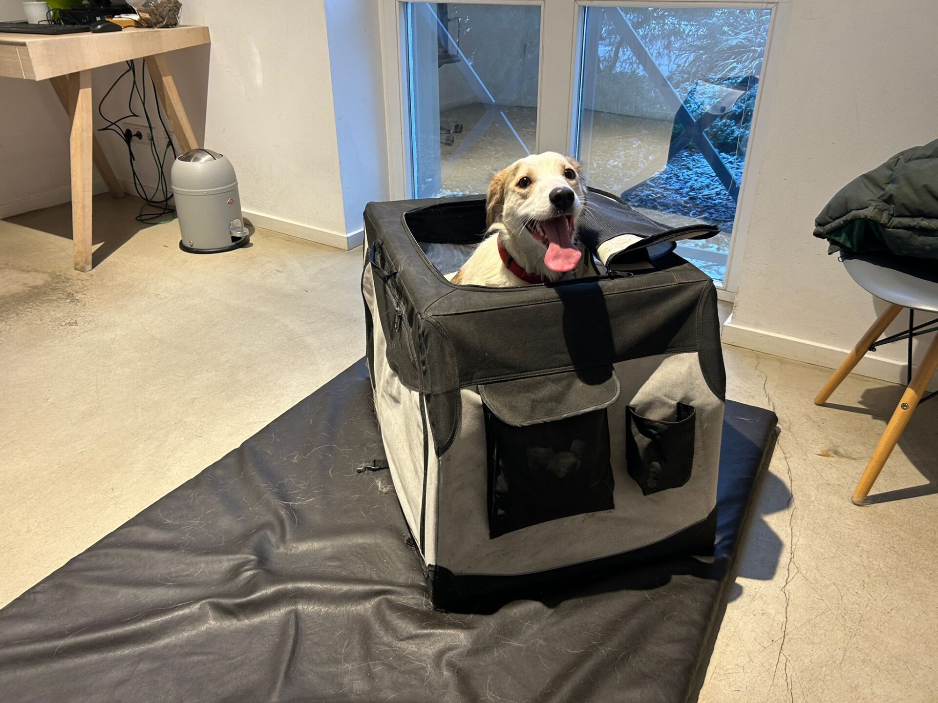 !! Unsere Pia und Bettina brauchen ganz ganz dringend Hilfe ...