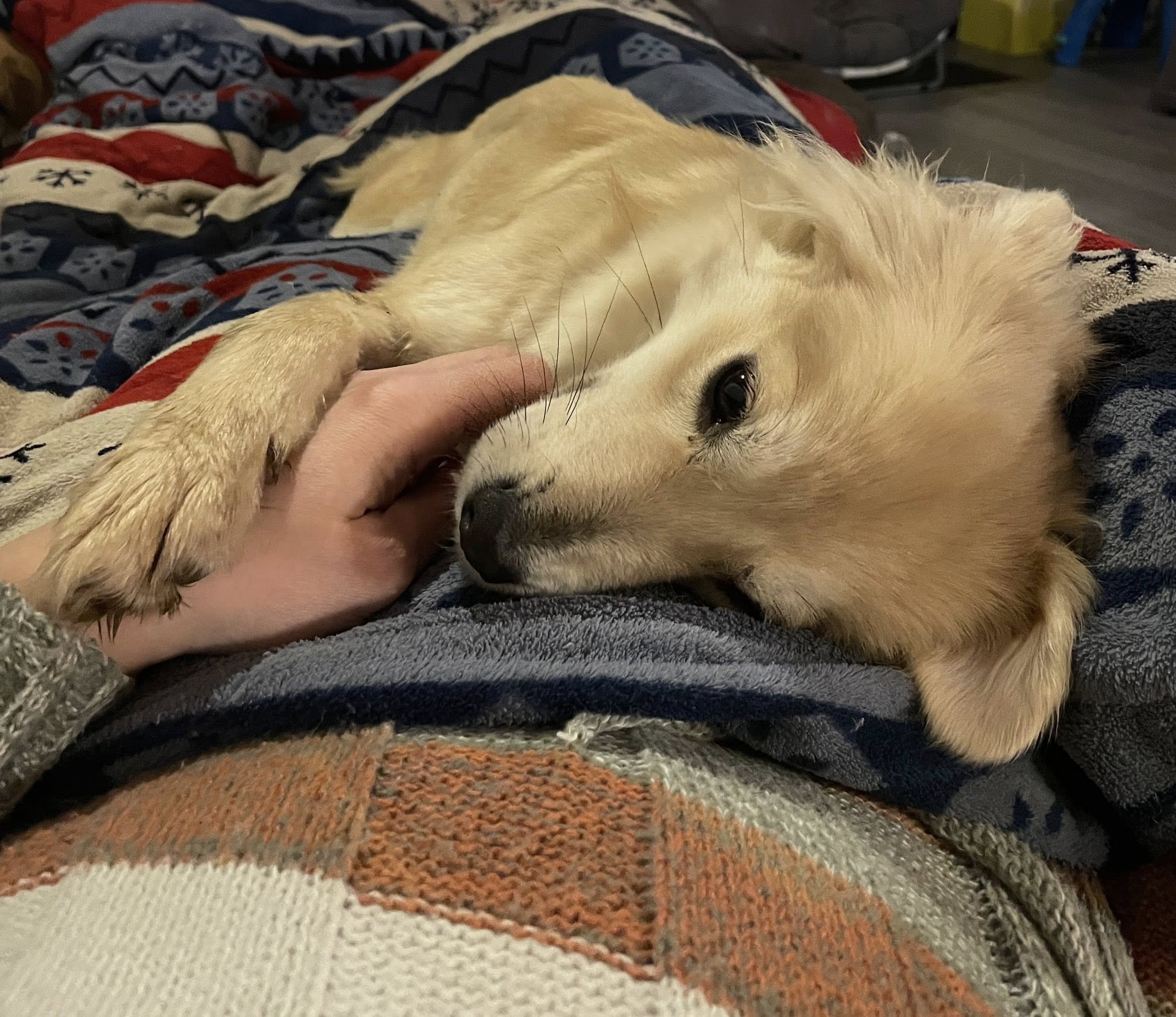 VERMITTLUNGSHILFE Lina...