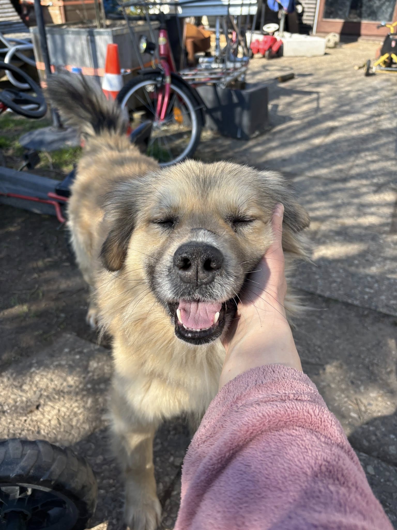 VERMITTLUNGSHILFE LUCKY...